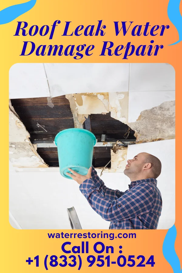 Roof Leak Water Damage Repair in Ahmeek, MI