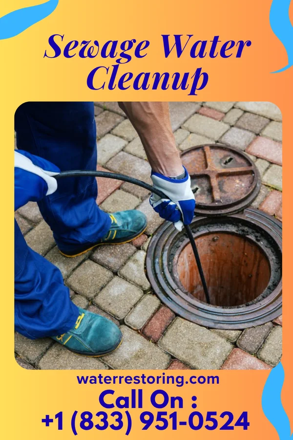 Sewage Water Cleanup in Ahmeek, MI